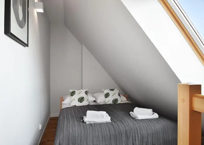 Rentplanet - Kolo Brzegu *